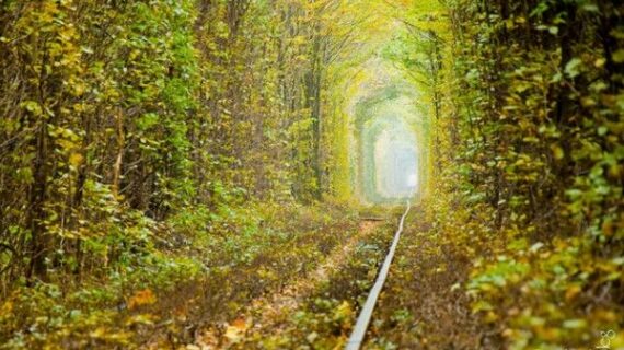 На Рівненщині