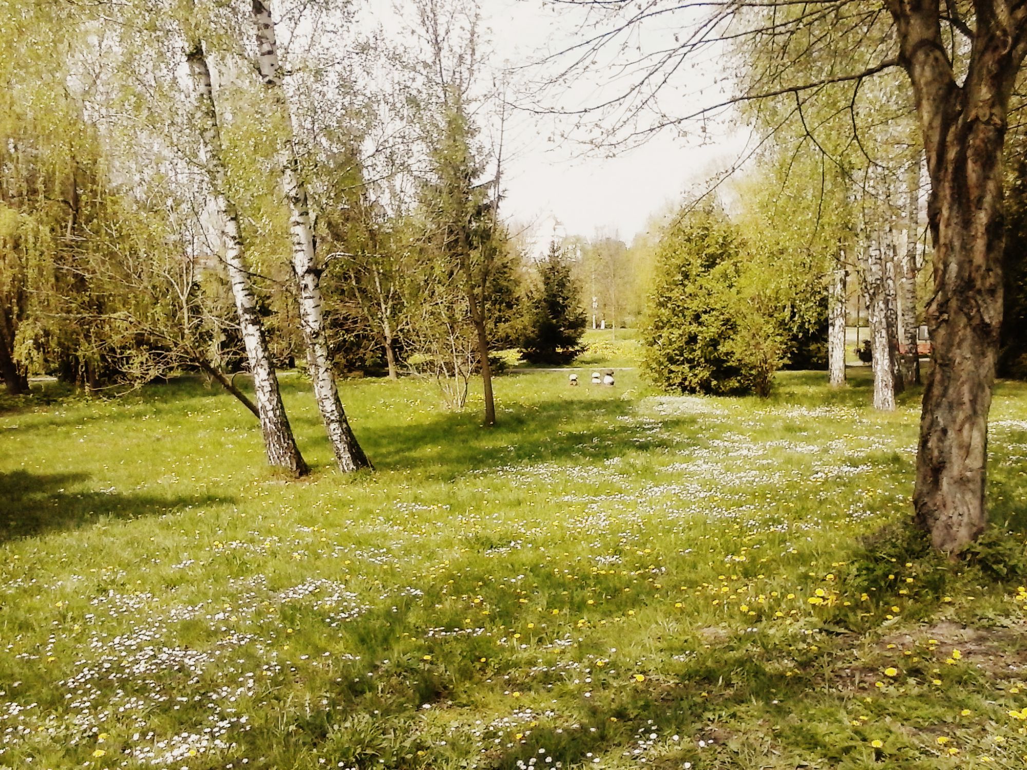 Бабак повідомляє: Україну чекатиме рання весна