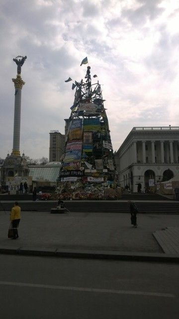 Справжня новорічна ялинка – “зимой и летом одним цветом…”