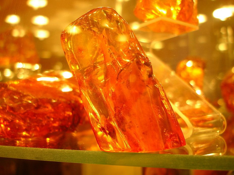 Незаконний видобуток бурштину на Рівненщині