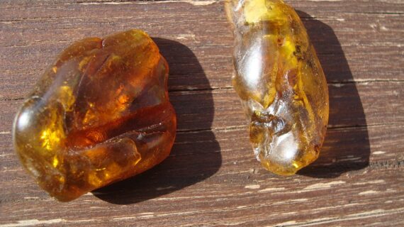 amber бурштин