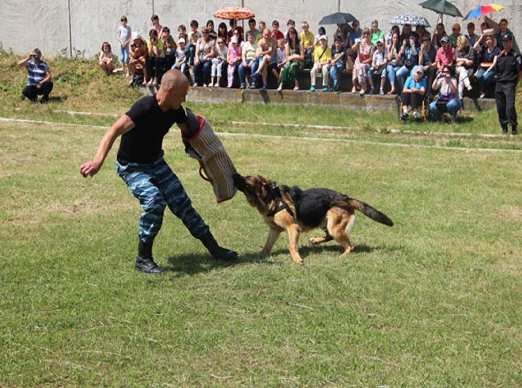 У Житомирі правоохоронці розважали школярів