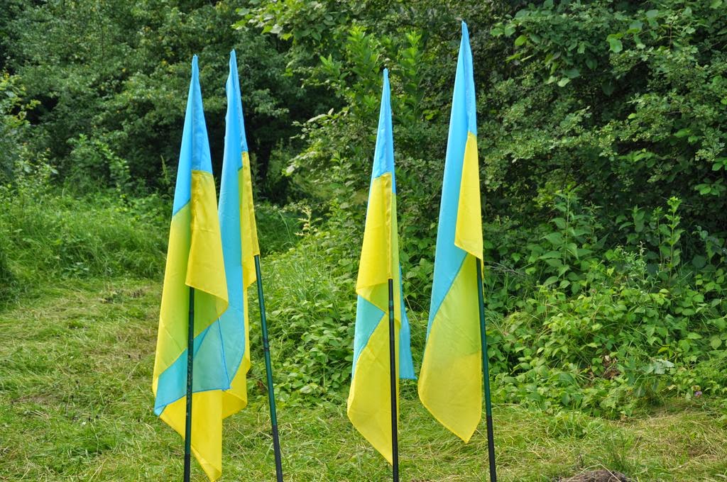 Громадська організація Рівного шукає активістів по всій Україні