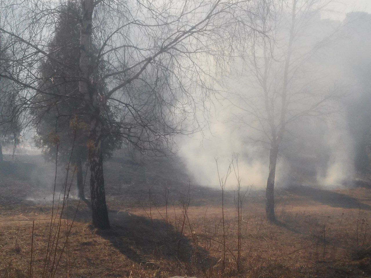 на Пагорбі слави на Пагорбі слави