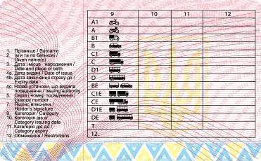 директора автошколи спіймали на хабарі