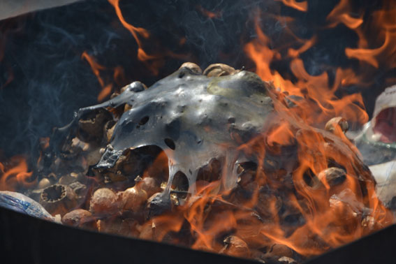 У Львові спалили наркотики майже на 2 мільйони гривень