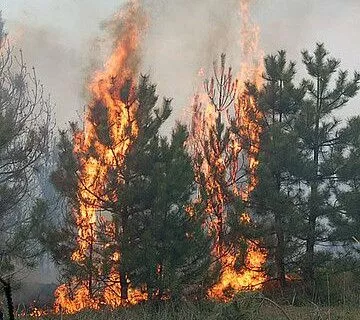 Рівненщина вся в диму