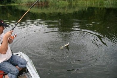Жителям Рівненщини заборонили ловити рибу