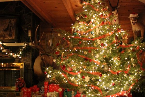 Рівняни відпочиватимуть 6 днів на різдвяні свята