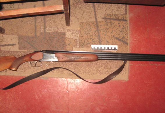 У Рівному чоловік застрелив собак