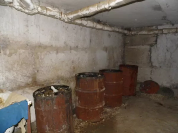 трупний запах у Чернівцях