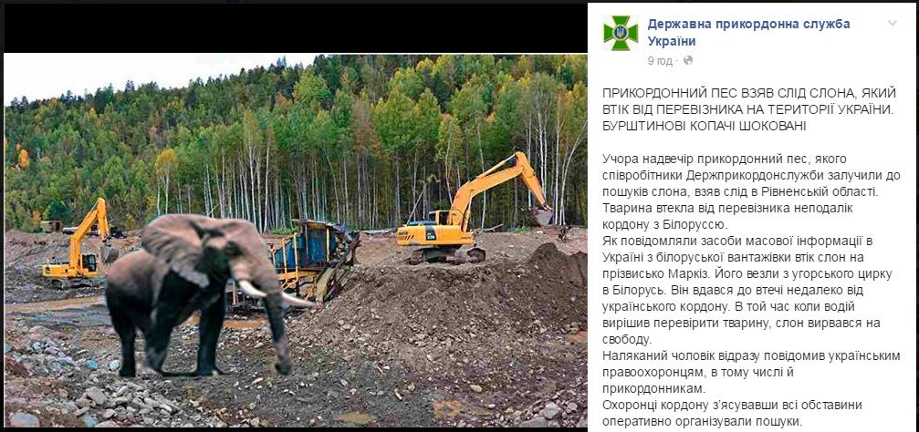 Рівненські прикордонники виявили сліди зниклого слона