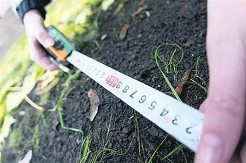 186 гектарів землі повернули у власність держави