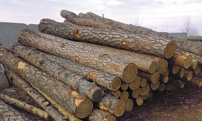 вантажівки з деревиною