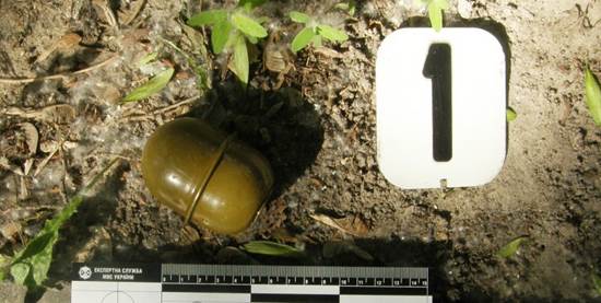 пакет зі складовими елементами гранати