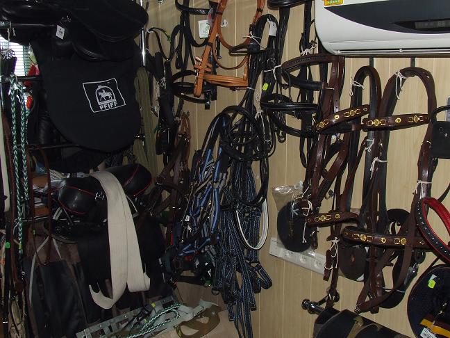 жінка викрала кінну амуніцію