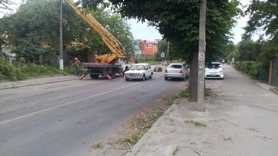 В Рівному через обрив електролінії постраждало авто (Фото)