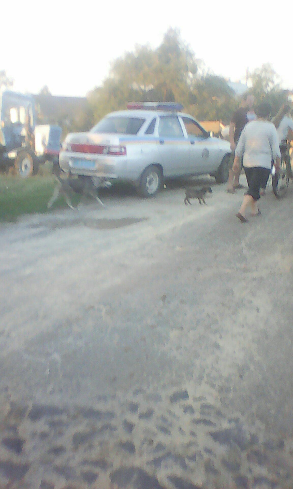На Рівненщені карантин через чуму (Фото)