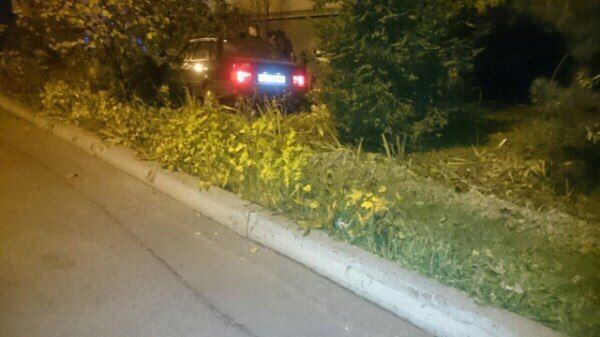 П'яні підлітки з'їхали автомобілем у к'ювет