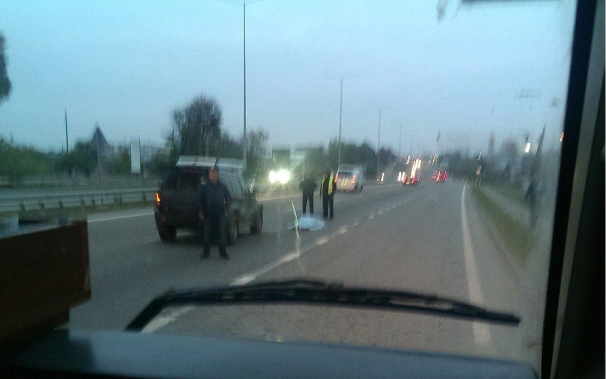 На Львівщині насмерть збили людину (Фото)