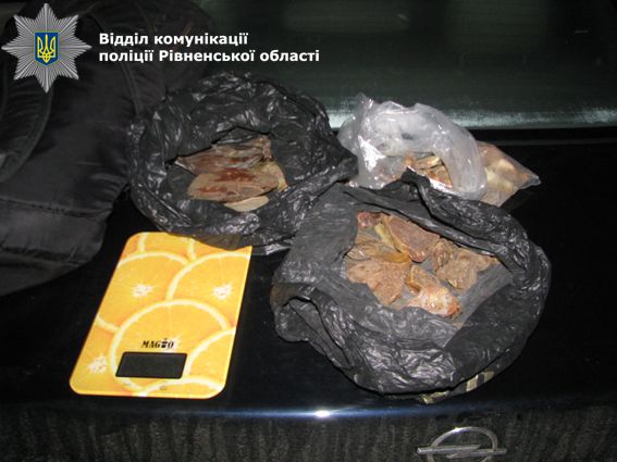 в білоруса виявили півтора кілограма бурштину