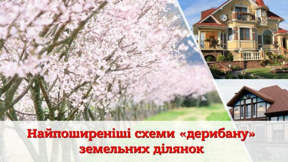 Нерівноправна рівноправність: найпоширеніші схеми «дерибану» земельних ділянок в індивідуальну власність
