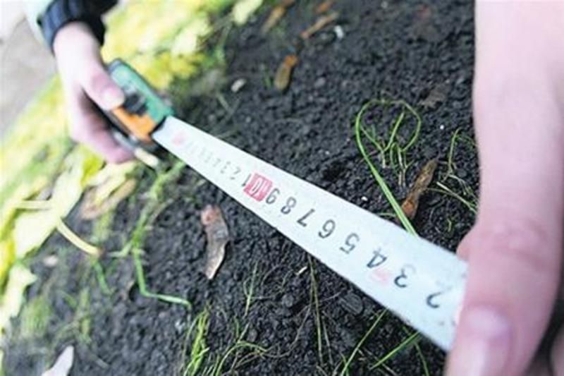 Земля на халяву:  чому безкоштовну роздачу земельних ділянок треба припинити [Інфографіка]