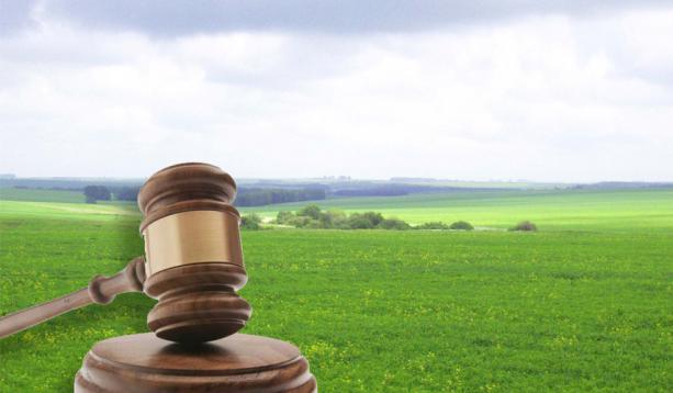 На Львівщині відбудеться аукціон з продажу права оренди на земельні ділянки