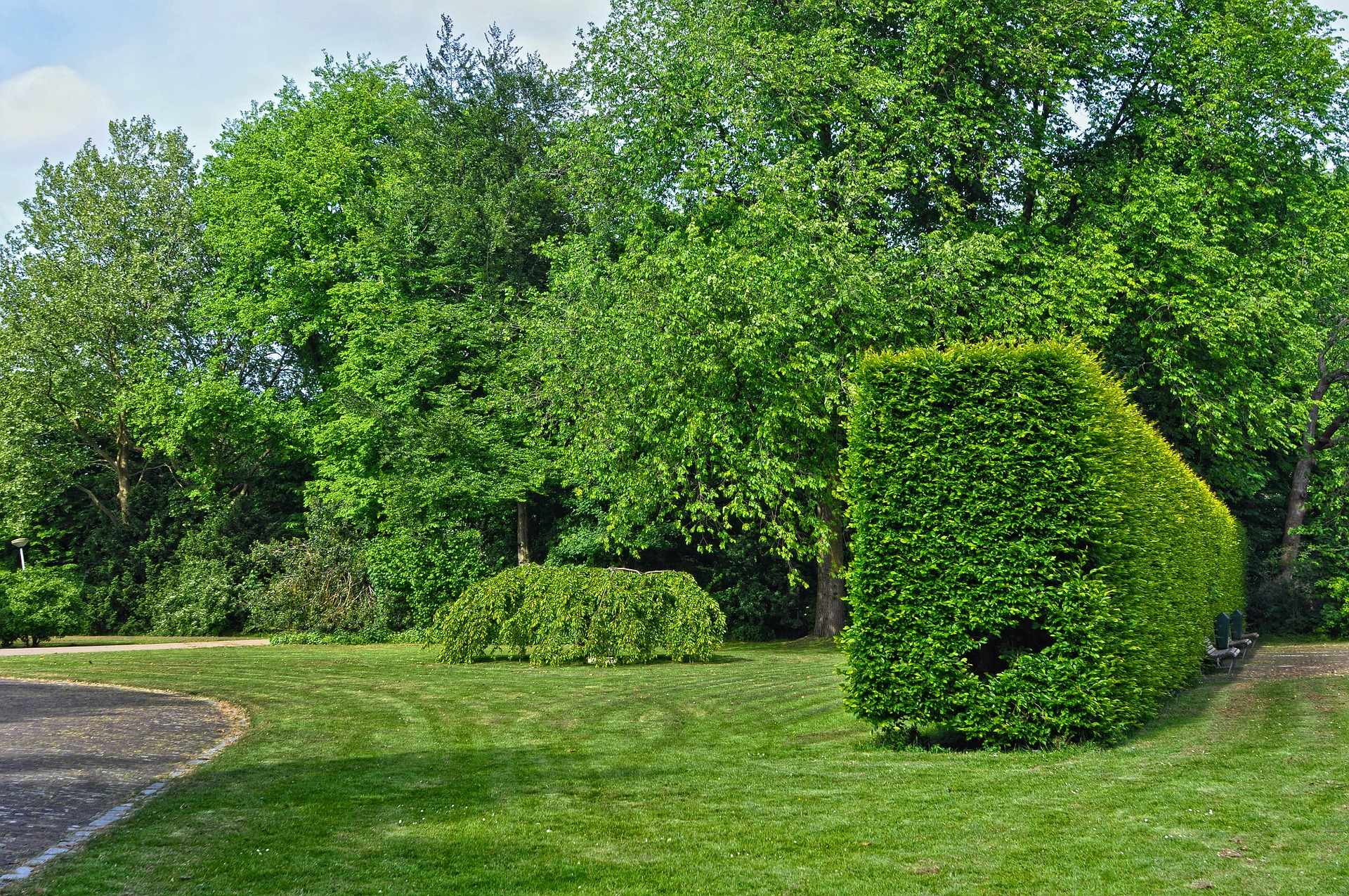 Чи стане Київ прикладом для Рівного: активісти та влада обговорили систему озеленення міста