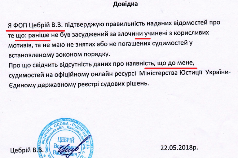 Підприємці з однаковими документами змагалися на тендері