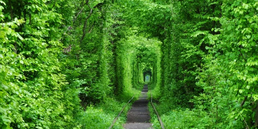 У Києві розкажуть про красу Рівненщини