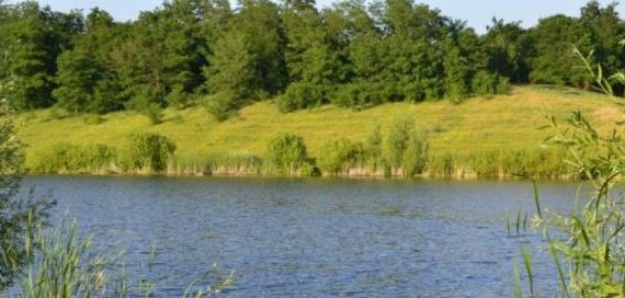 Три ставки Львівщини буде виставлено на аукціон