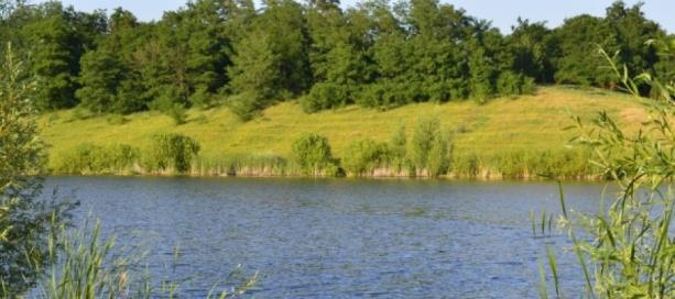 За скільки стави Львівщини передано в оренду?