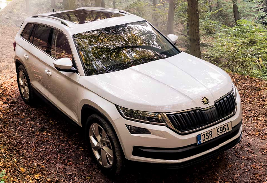 Ветеринари зі Львова купили кросовер за мільйон під виглядом спецавтомобіля