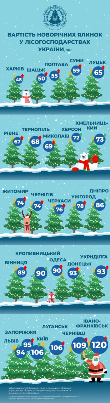 Яка ціна ялинки в Рівному, Луцьку та інших обласних центрах Західної України