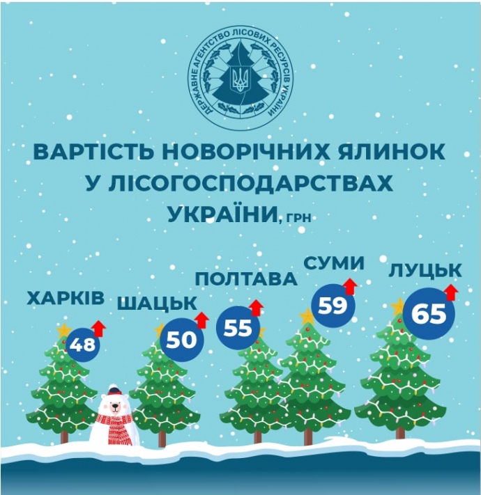 Яка ціна ялинки в Рівному, Луцьку та інших обласних центрах Західної України?
