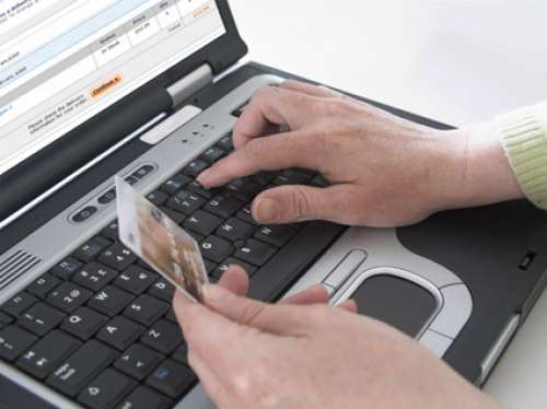 На Тернопільщині продавали через “OLX” бджіл, але виявилось що комах там вже немає