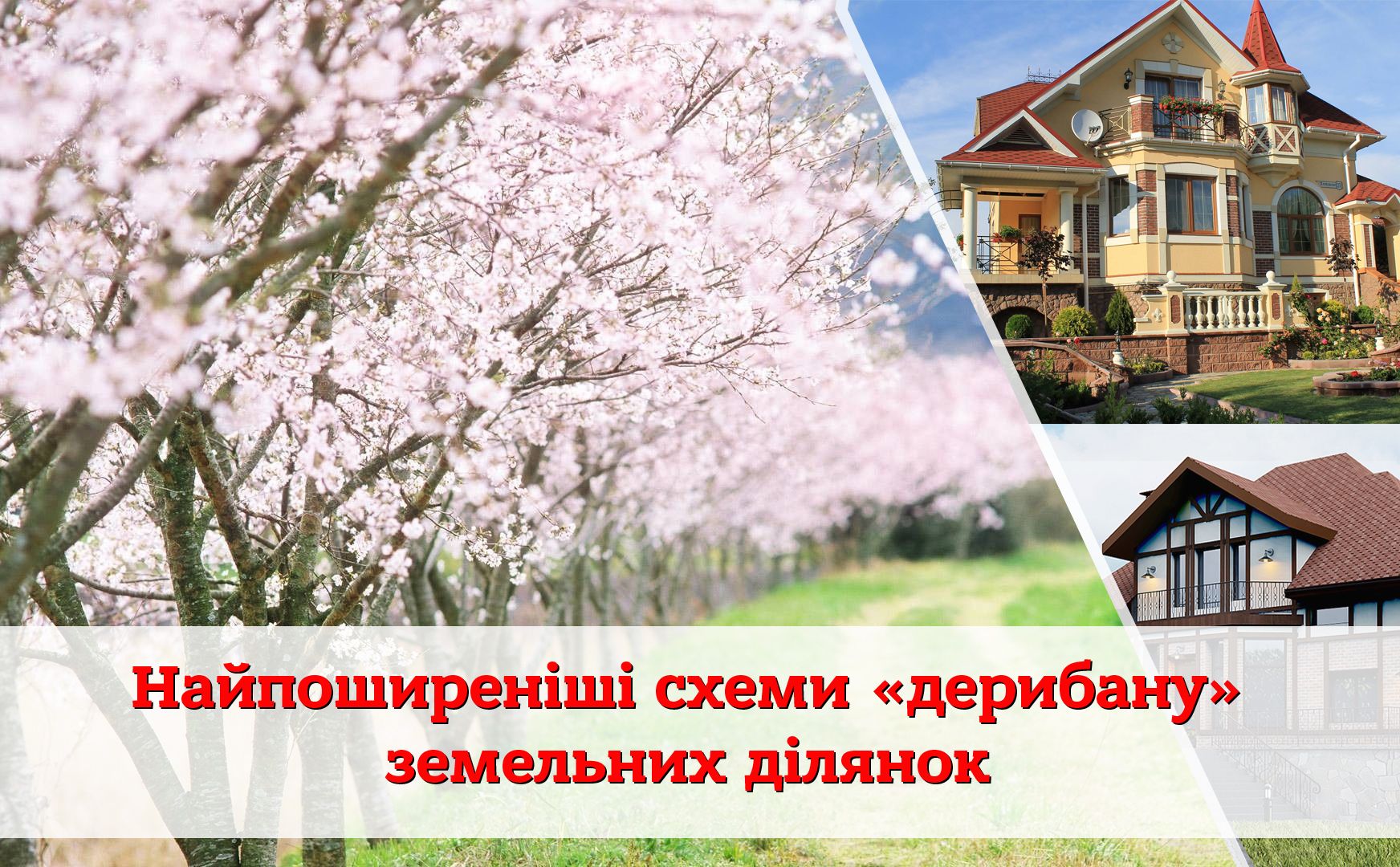 Нерівноправна рівноправність: найпоширеніші схеми «дерибану» земельних ділянок в індивідуальну власність