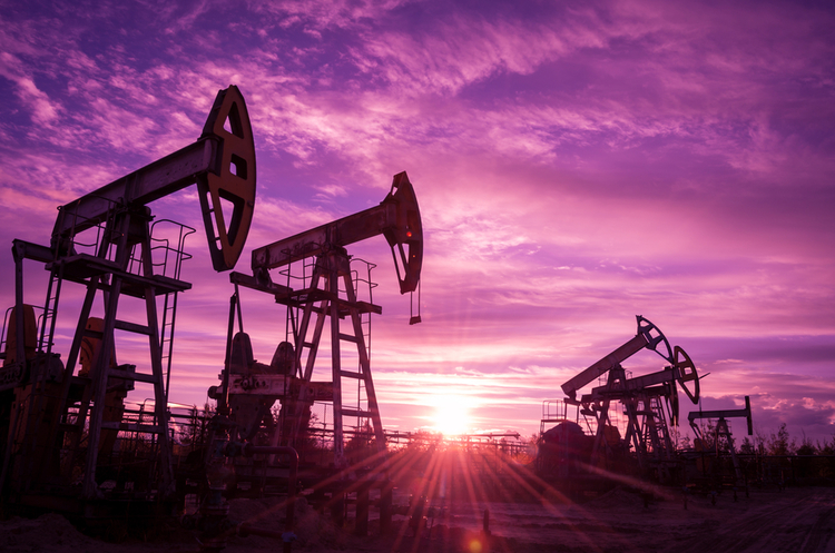 Дві нафтогазоносні площі Львівщини підуть на аукціон